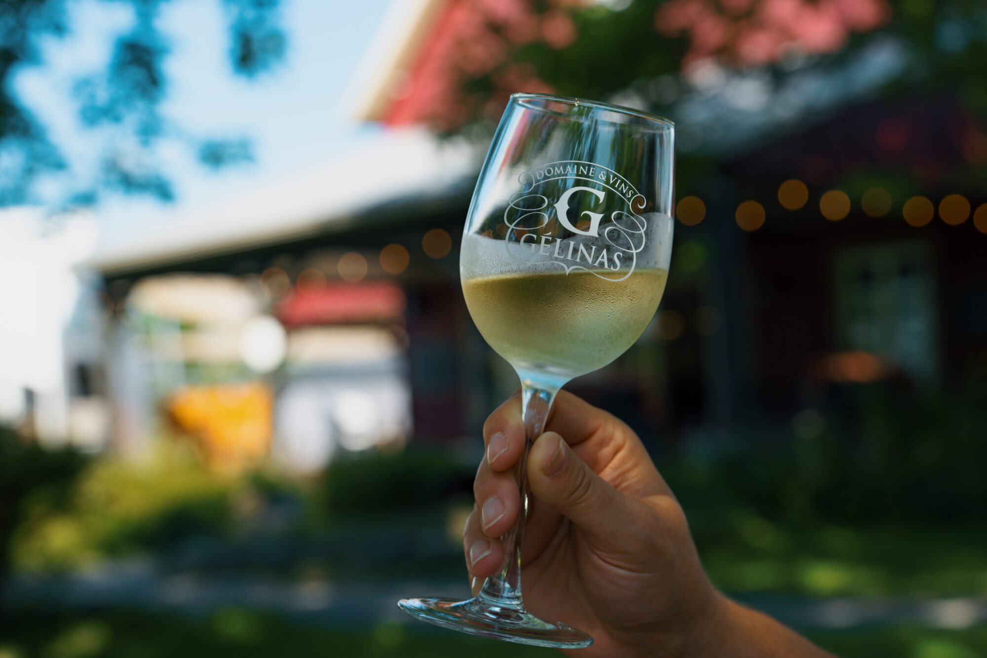 Domaine Gélinas
