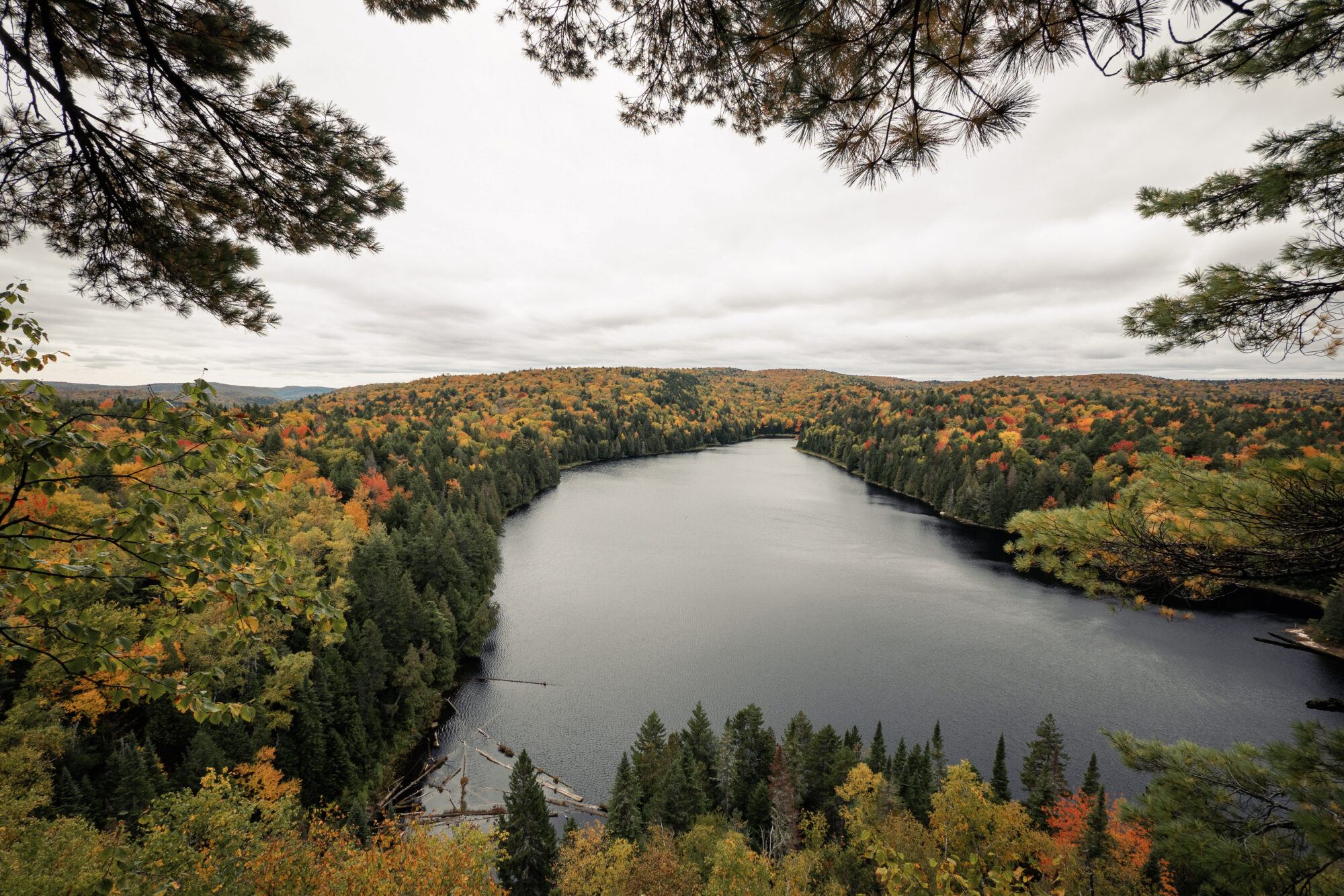 Couleurs à l'automne au Parc national de la Mauricie