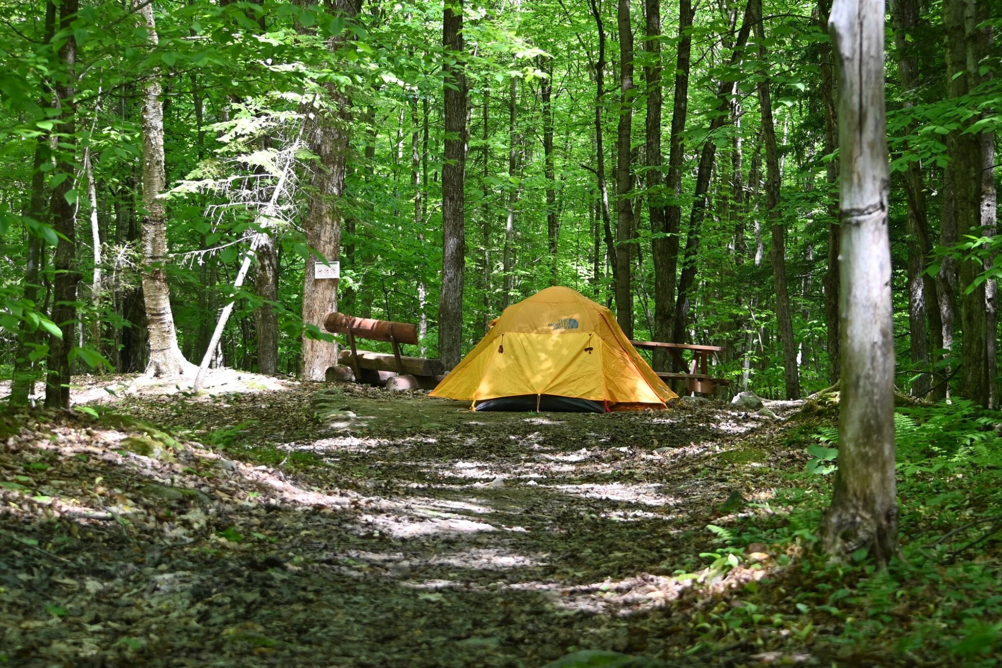 Camping au Diable Vert