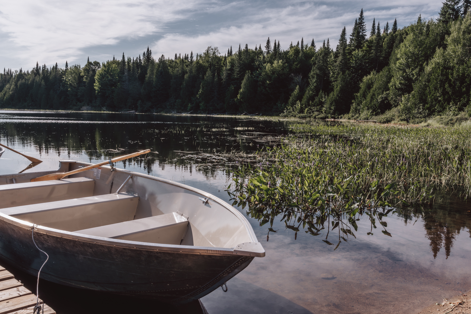 Réserve faunique de Mastigouche