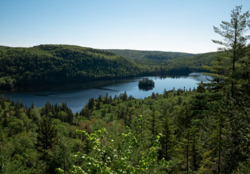 Forêt et lac au parc national de la Mauricie