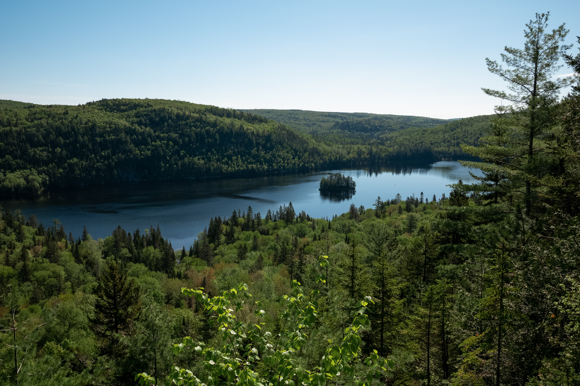 Forêt et lac au parc national de la Mauricie