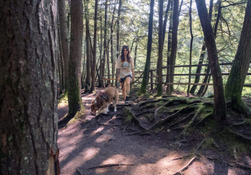 Randonnée avec chien au parc des chutes de Sainte-Ursule