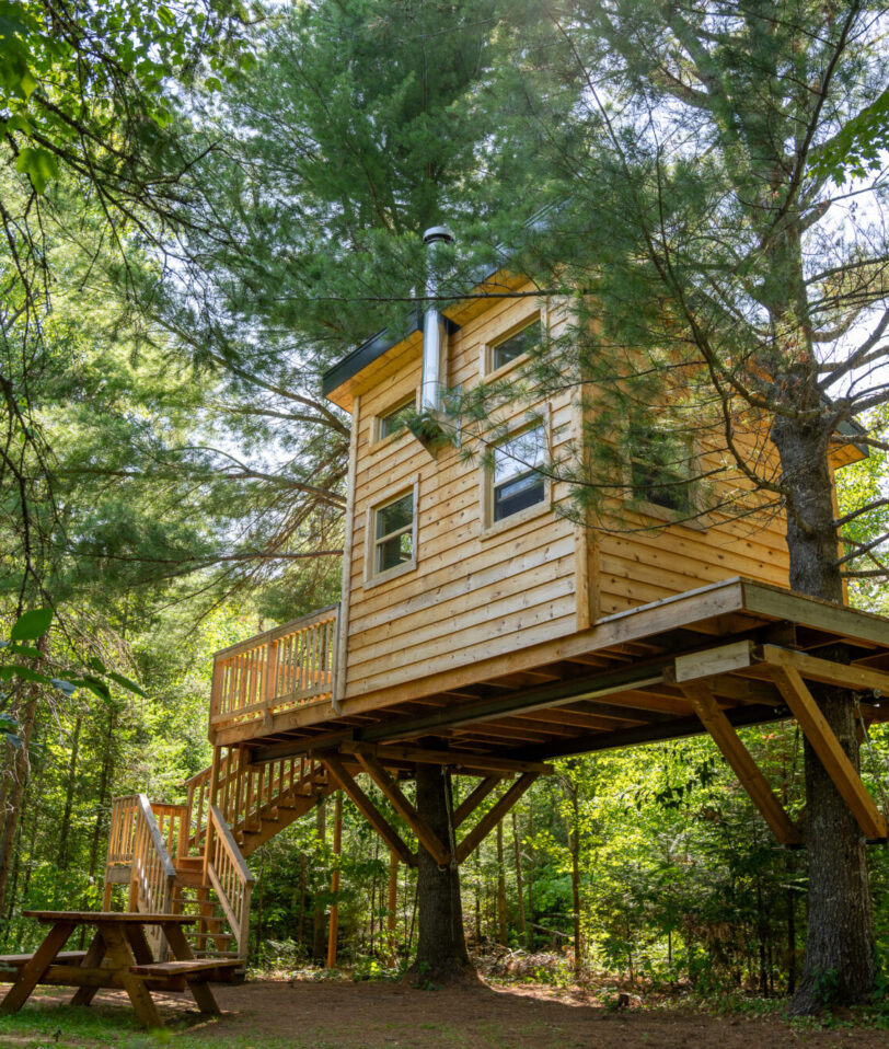 Cabane perché dans les arbres chez Mel & Nico Camping insolite à Saint-Élie-de-Caxton