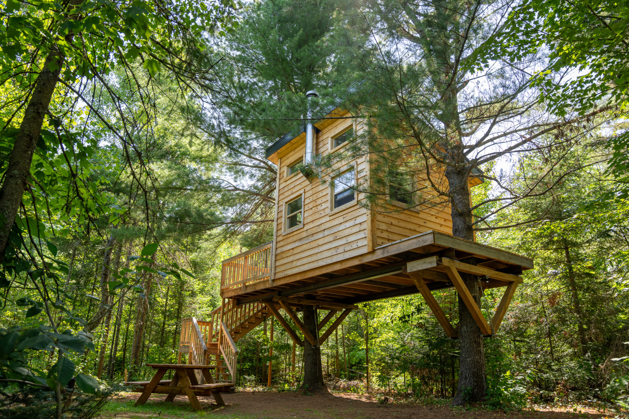 Cabane perché dans les arbres chez Mel & Nico Camping insolite à Saint-Élie-de-Caxton