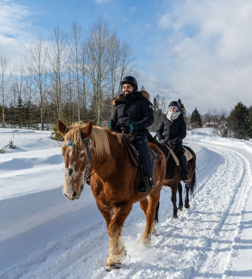 Randonnée équestre au Baluchon