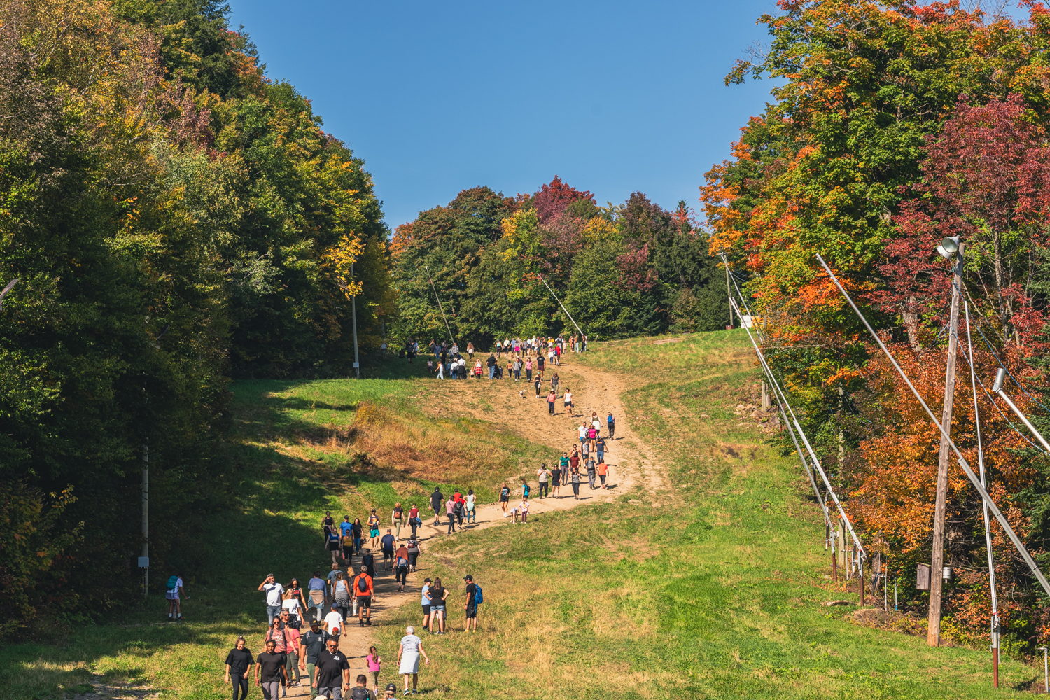 Festival des Couleurs à Vallée du Parc