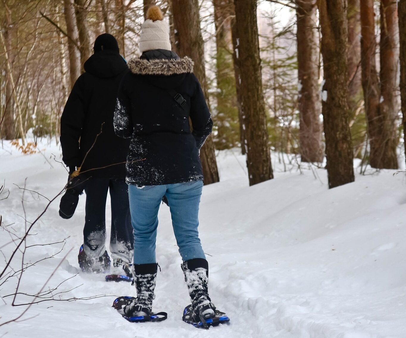 Raquette au Domaine Enchanteur