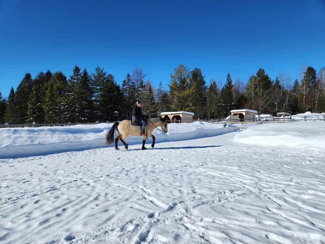 Équitation en hiver