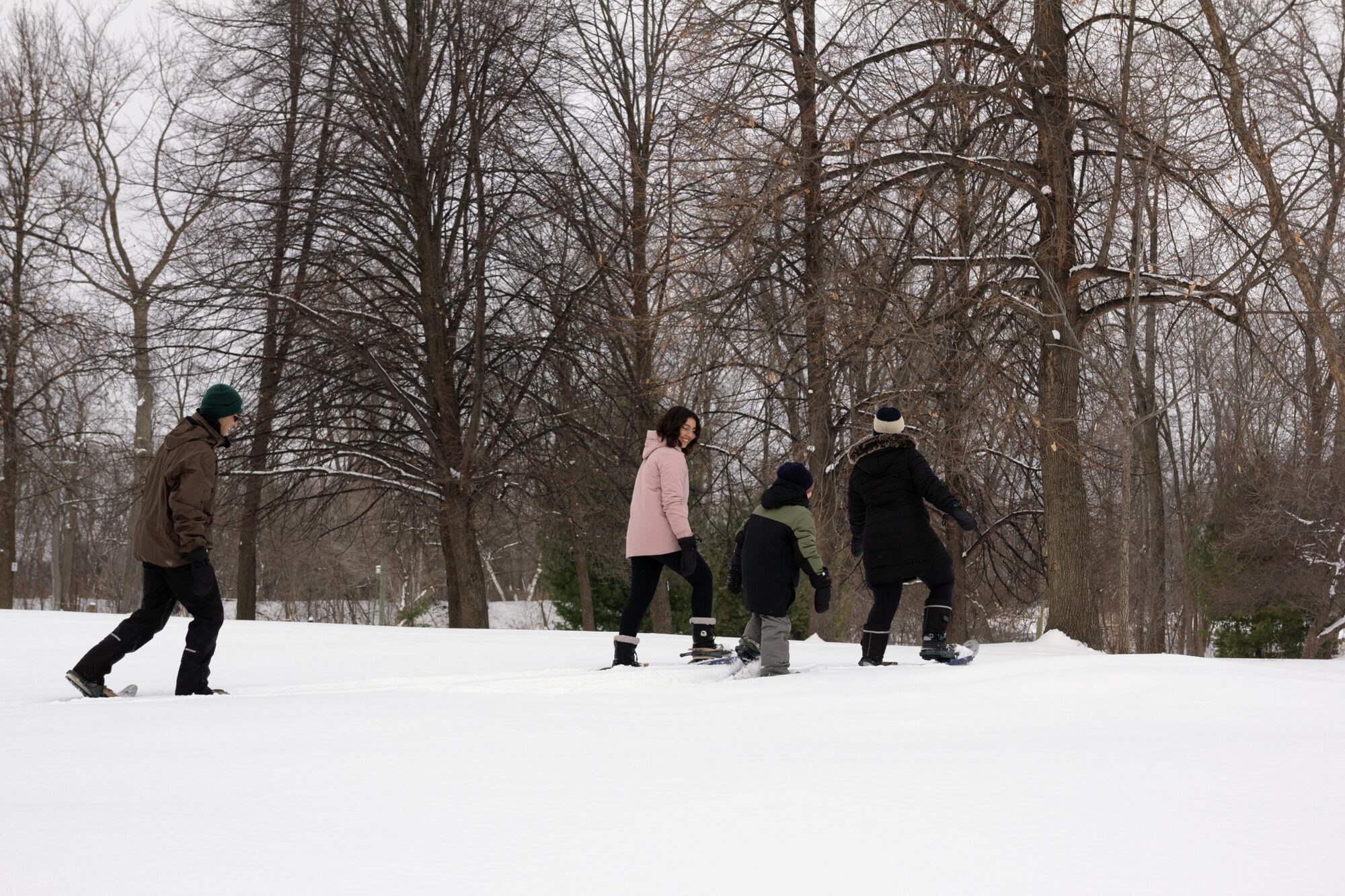 Raquette à l'île St-Quentin