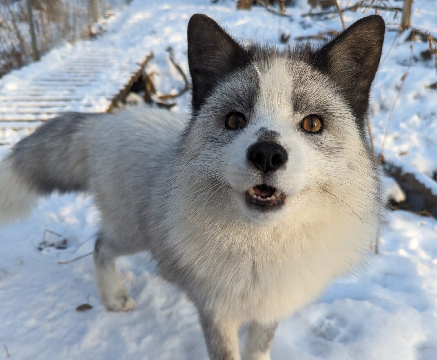 Le Musée de la Biodiversité