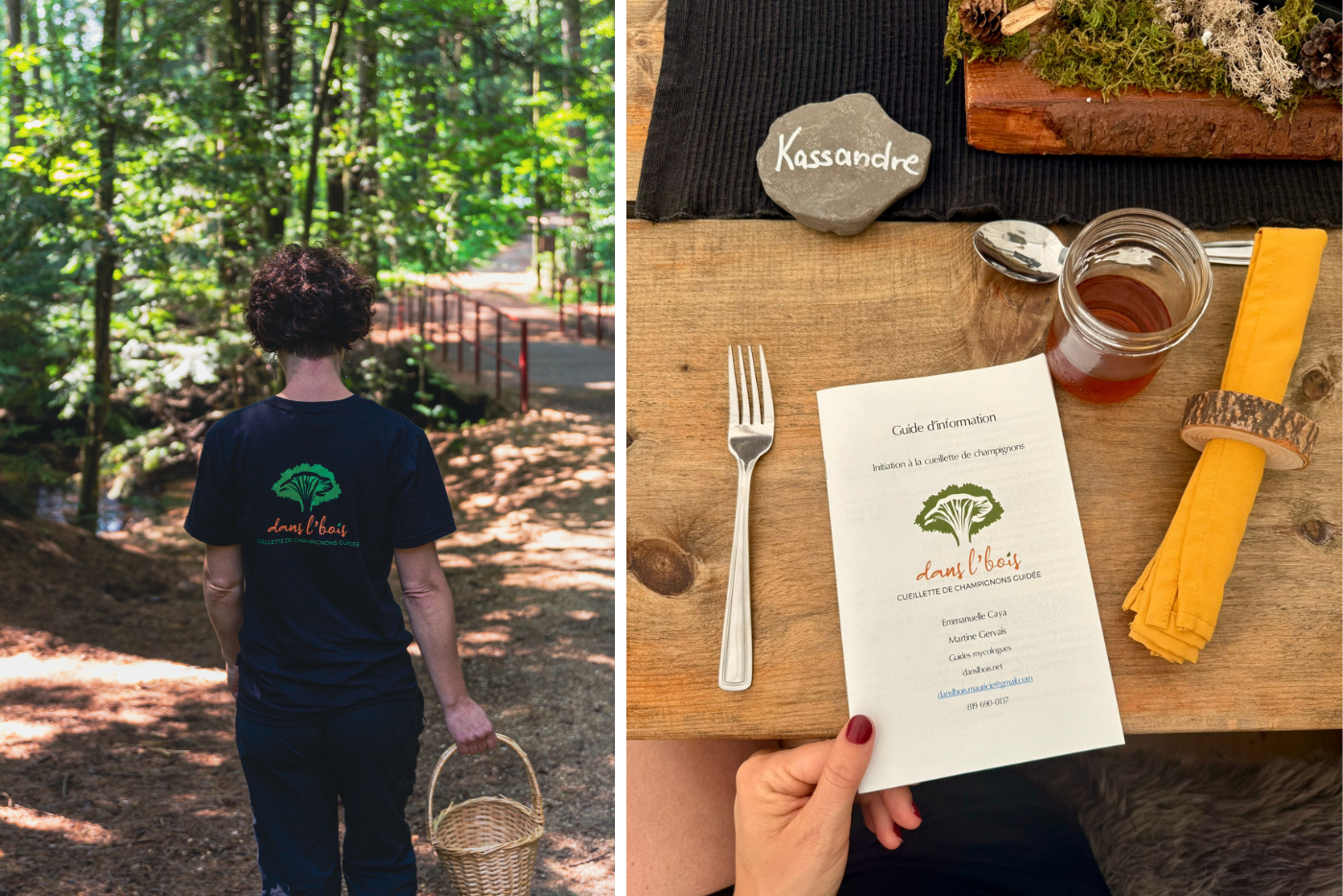 Cueillette de champignons forestiers avec l'entreprise Dans l'bois