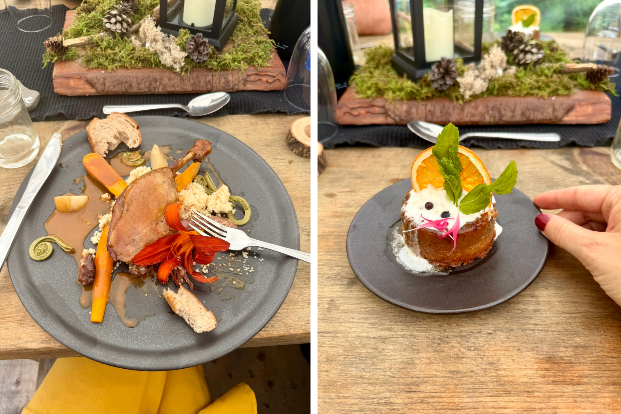 Menu des tables en forêt de Fredélys