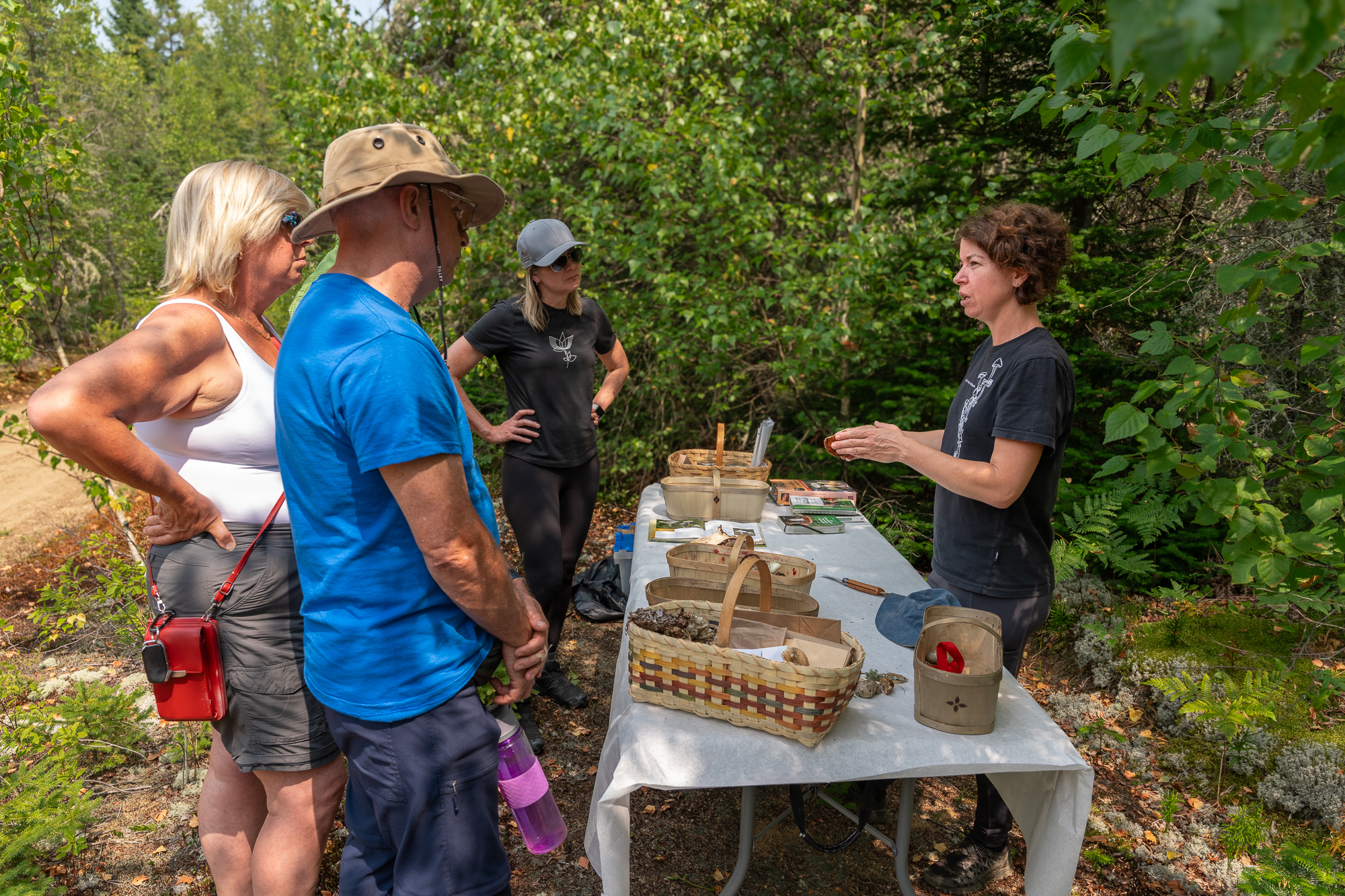 Cours sur les champignons forestiers en Mauricie