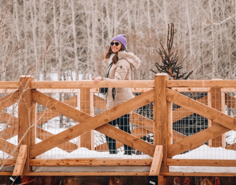 Marche en forêt au Baluchon Éco-villégiature