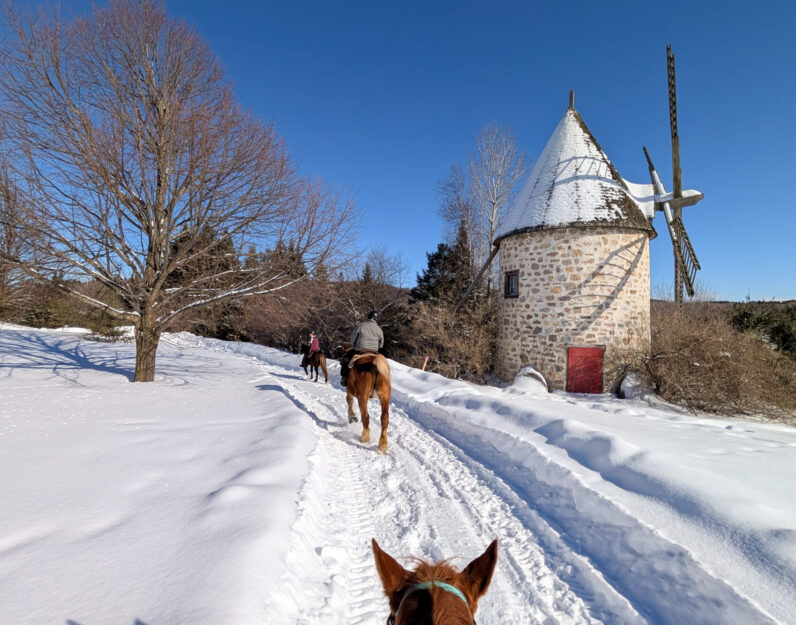 Équitation dans la neige au Baluchon Éco-villégiature