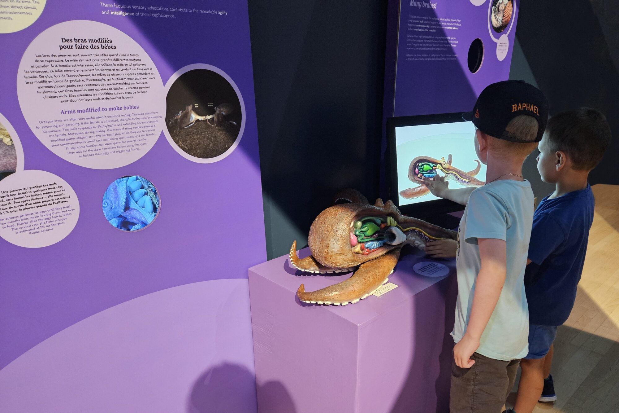 Deux enfants dans l'expositions Tentacules