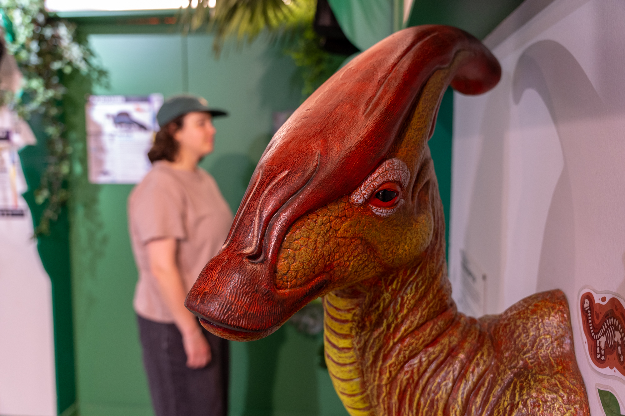Une personne qui visite l'exposition sur les dinosaures au Musée de la Biodiversité du Québec
