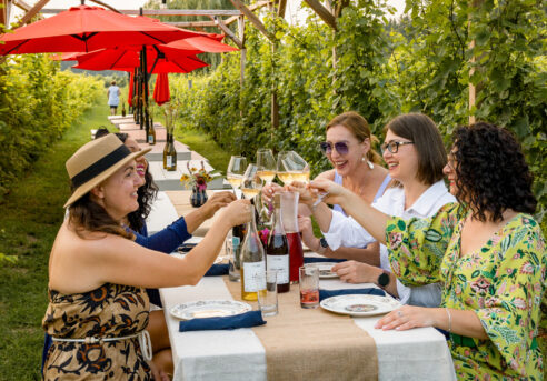 Groupe de femmes dégustant du vin à une table entre les vignes