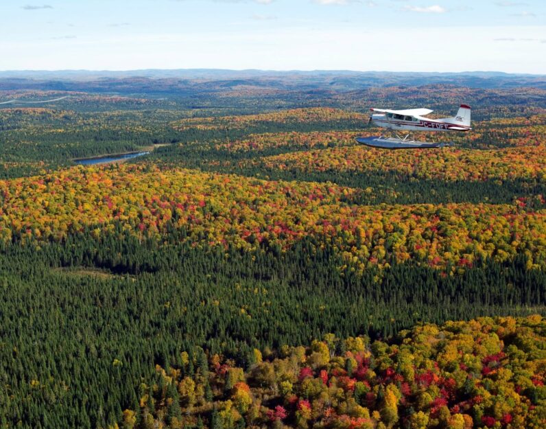 Survol de La Tuque en hydravion à l'automne